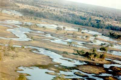 Delta de l'Okavango