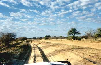 Piste dans le Désert du Kalahari