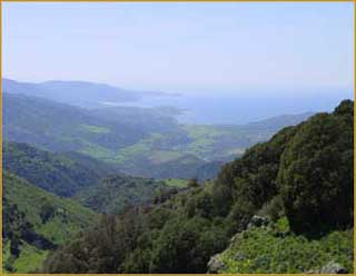 Corse