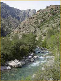 Gorges de l'Asco