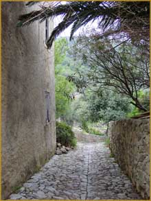 Pigna