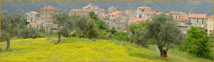 Corse - Sainte Lucie de Tallano