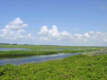 Polders