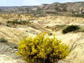 Désert des Bardeñas Reales