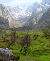 Picos de Europa - ESPAGNE