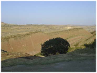 Désert de Garedja