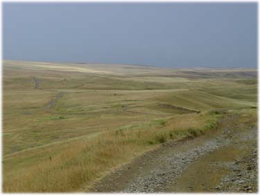 Steppes en Géorgie