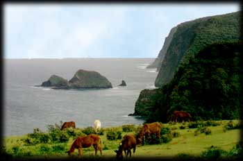 paysage de Hawaii, Big Island