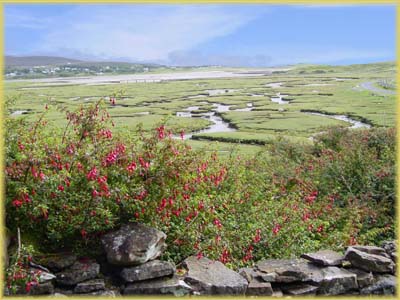 Achill Island - Irlande