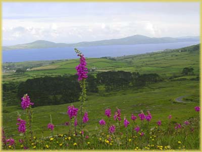 Péninsule de Beara