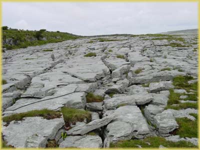 Burren - Irlande