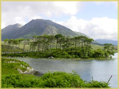 Connemara - Irlande