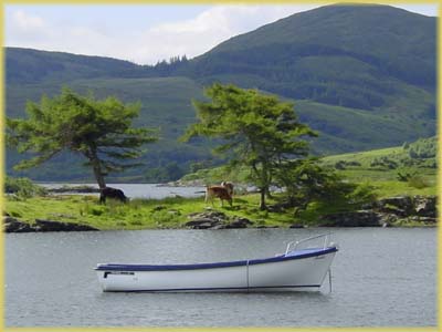 Connemara - Irlande