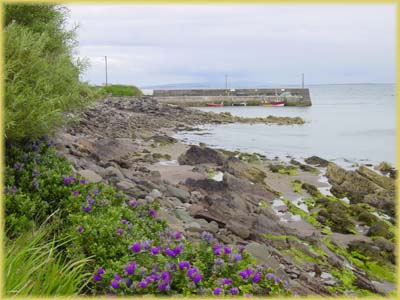 Péninsule de Dingle