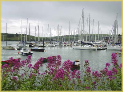 Kinsale