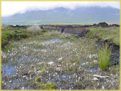 Tourbières d'Irlande