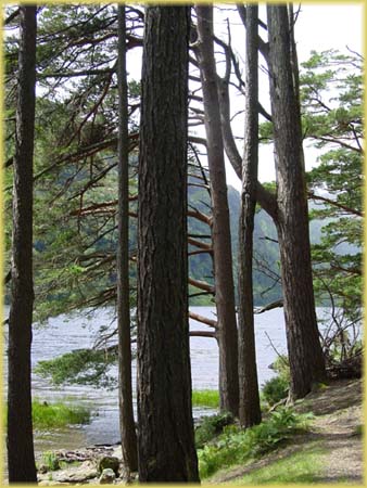 Glendalough - Irlande