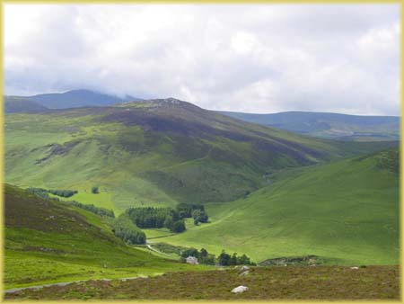 Comté de Wicklow 