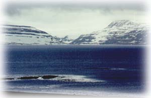 Fjord de la péninsule de Snaefellness