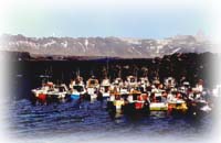 Port de Arnarstapi