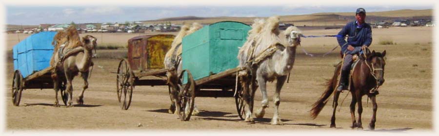 Caravane nomade de Mongolie