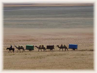 Caravane nomade de Mongolie