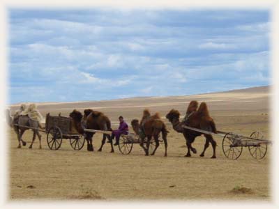 Caravane nomade de Mongolie