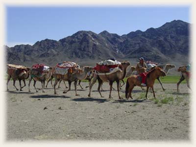 Caravane nomade de Mongolie