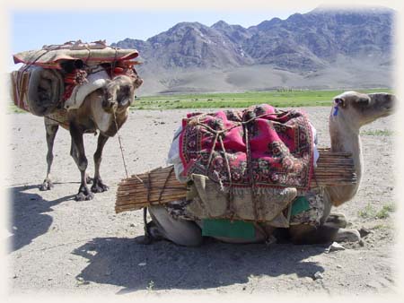 Caravane nomade de Mongolie