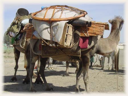 Caravane nomade de Mongolie