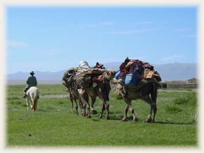 Caravane nomade de Mongolie