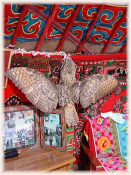 Ger kazakhe - Mongolie 