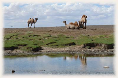 Désert du Gobi - Mongolie