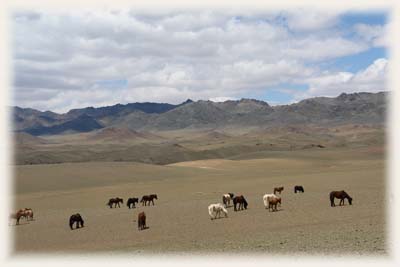 Désert du Gobi - Mongolie