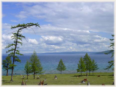 lac Khövsgöl - Mongolie