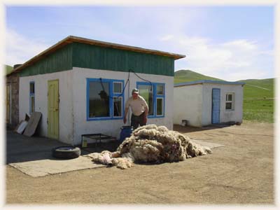 Feutre laine - Mongolie