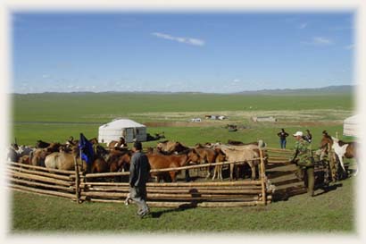 Steppes Mongolie