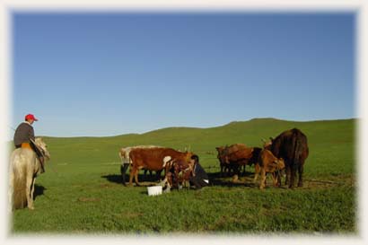 Steppes Mongolie