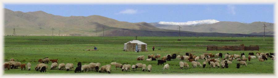 Orkon vallée - Mongolie