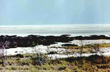 Pan d'Etosha