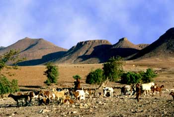 Territoire Himba