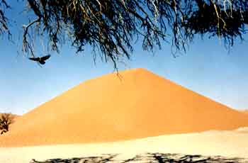 Dunes de Sossusvlei