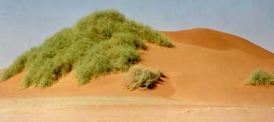 Dunes de Sossusvlei