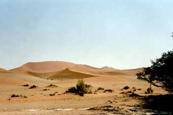 Dunes de Sossusvlei