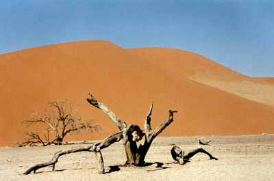 Dunes de Sossusvlei