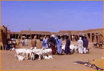Marché Ingall