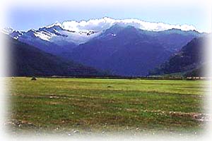 Arthur's pass - NZ