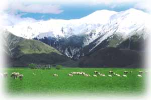 Arthur's pass - NZ