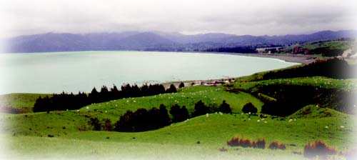 Paysage typique de Nouvelle-Zélande