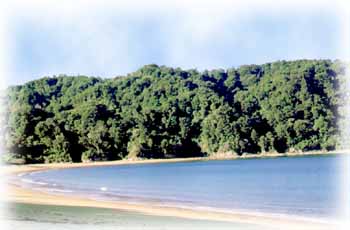 Plages de NZ